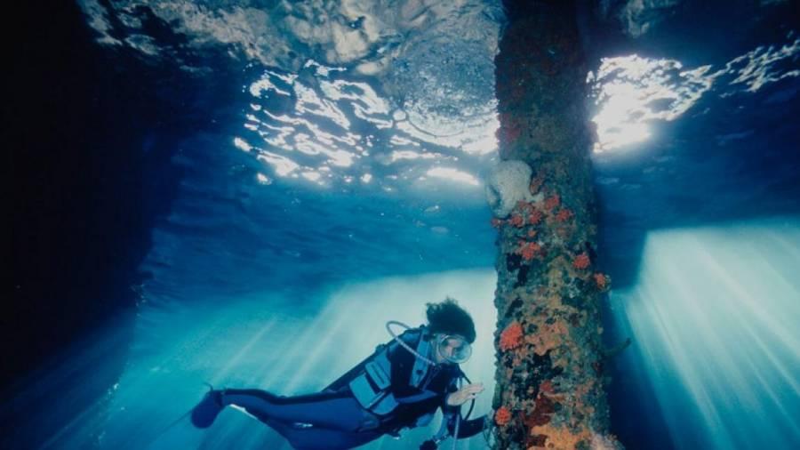 Prêmio da ONU Meio Ambiente homenageia inovadores do desenvolvimento sustentável